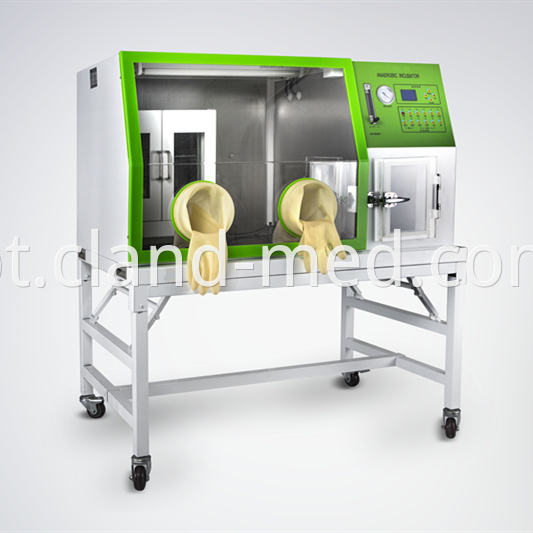 Lai 3 Anaerobic Incubator